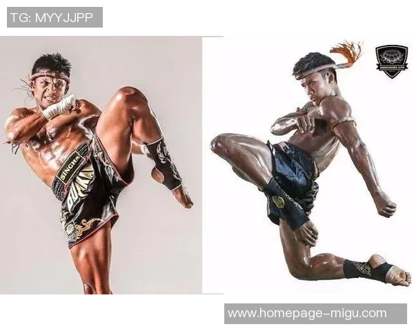 播求挑战拳击手的巅峰对决引发格斗界热议与期待